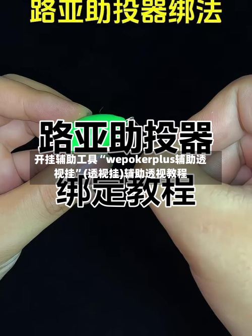 开挂辅助工具“wepokerplus辅助透视挂”(透视挂)辅助透视教程-第1张图片