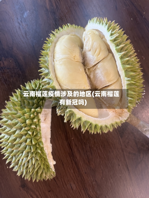 云南榴莲疫情涉及的地区(云南榴莲有新冠吗)-第1张图片