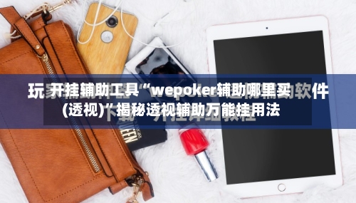 开挂辅助工具“wepoker辅助哪里买(透视)	”揭秘透视辅助万能挂用法-第2张图片