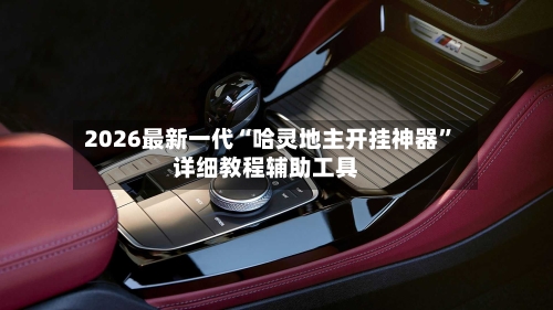 2026最新一代“哈灵地主开挂神器”详细教程辅助工具-第3张图片