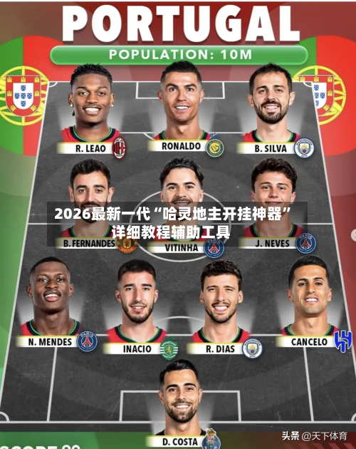 2026最新一代“哈灵地主开挂神器”详细教程辅助工具-第2张图片