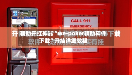 辅助开挂神器“we-poker辅助软件下载”开挂详细教程-第2张图片