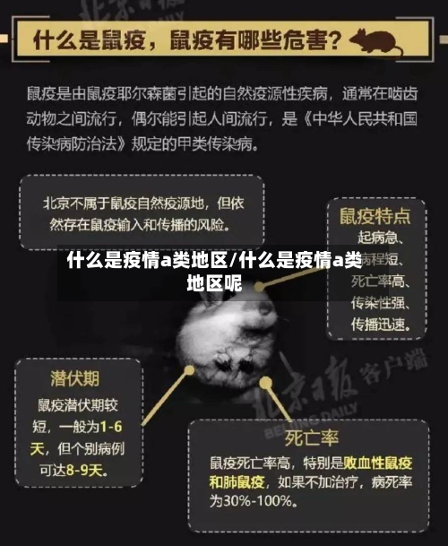 什么是疫情a类地区/什么是疫情a类地区呢-第3张图片