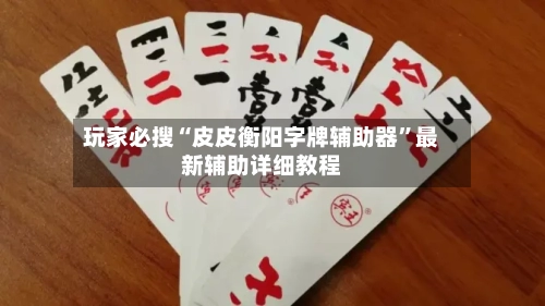 玩家必搜“皮皮衡阳字牌辅助器”最新辅助详细教程-第1张图片