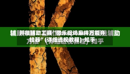 开挂辅助工具“微乐捉鸡麻将万能开挂器”(详细透视教程)-知乎-第2张图片