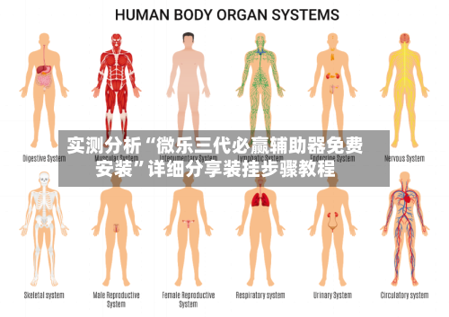 实测分析“微乐三代必赢辅助器免费安装”详细分享装挂步骤教程-第3张图片