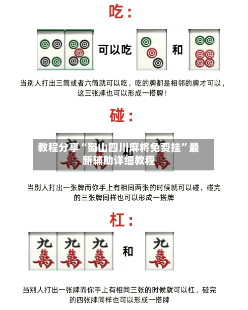 教程分享“蜀山四川麻将免费挂”最新辅助详细教程-第1张图片