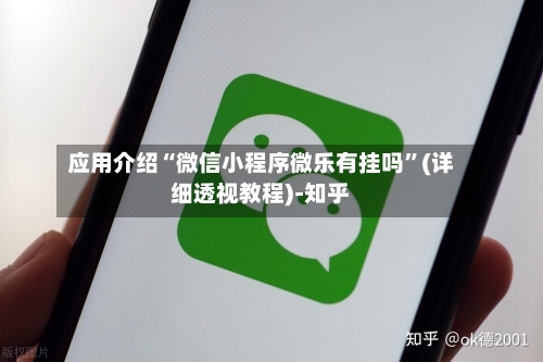 应用介绍“微信小程序微乐有挂吗”(详细透视教程)-知乎-第2张图片