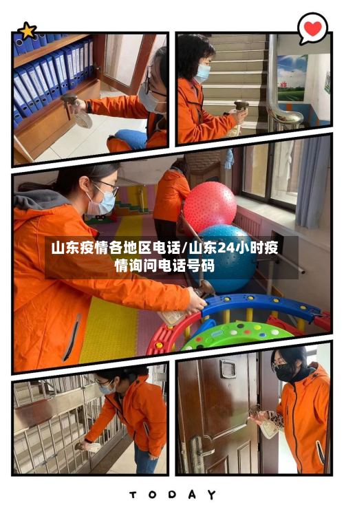 山东疫情各地区电话/山东24小时疫情询问电话号码-第2张图片