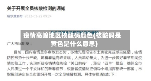疫情高峰地区核酸码颜色(核酸码是黄色是什么意思)-第2张图片