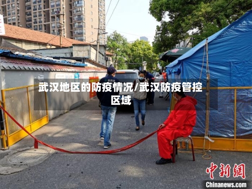 武汉地区的防疫情况/武汉防疫管控区域-第1张图片