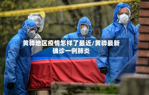 黄骅地区疫情怎样了最近/黄骅最新确诊一例肺炎-第2张图片