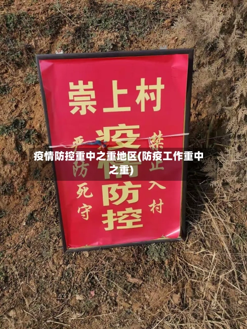 疫情防控重中之重地区(防疫工作重中之重)-第2张图片