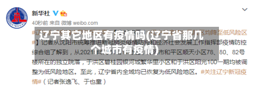 辽宁其它地区有疫情吗(辽宁省那几个城市有疫情)-第3张图片