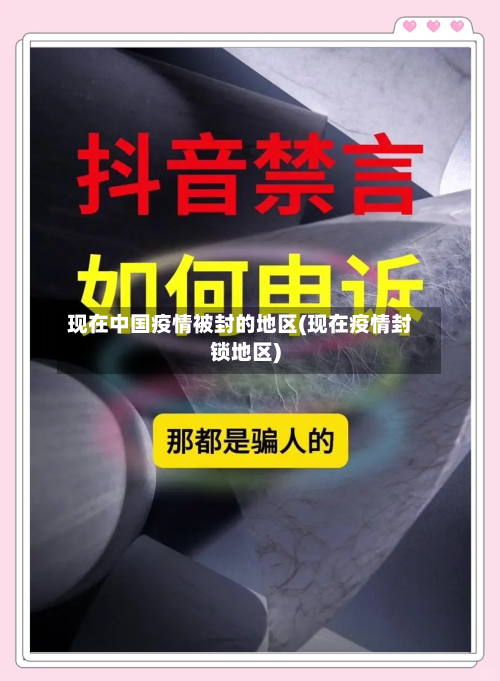 现在中国疫情被封的地区(现在疫情封锁地区)-第2张图片