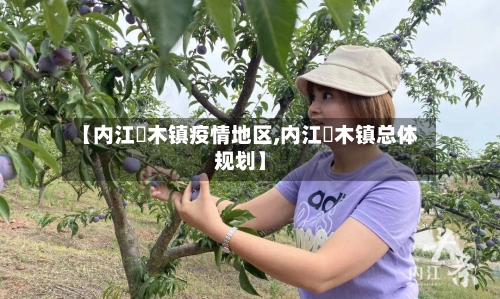 【内江椑木镇疫情地区,内江椑木镇总体规划】-第3张图片