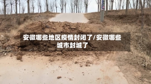 安徽哪些地区疫情封闭了/安徽哪些城市封城了-第2张图片