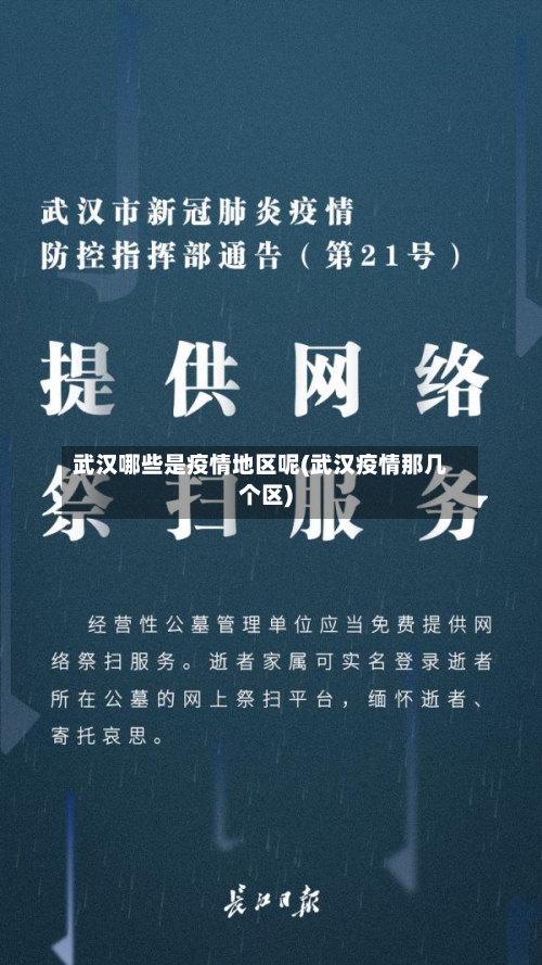 武汉哪些是疫情地区呢(武汉疫情那几个区)-第2张图片