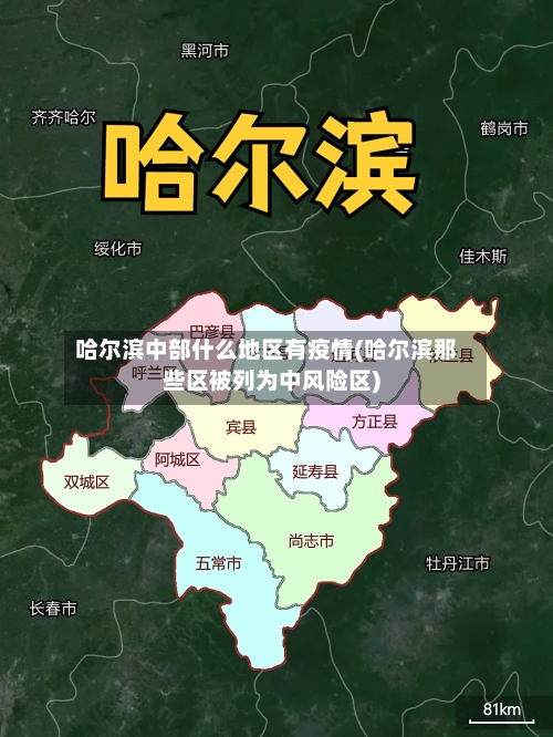 哈尔滨中部什么地区有疫情(哈尔滨那些区被列为中风险区)-第1张图片