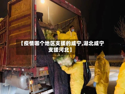【疫情哪个地区支援的咸宁,湖北咸宁支援河北】-第1张图片