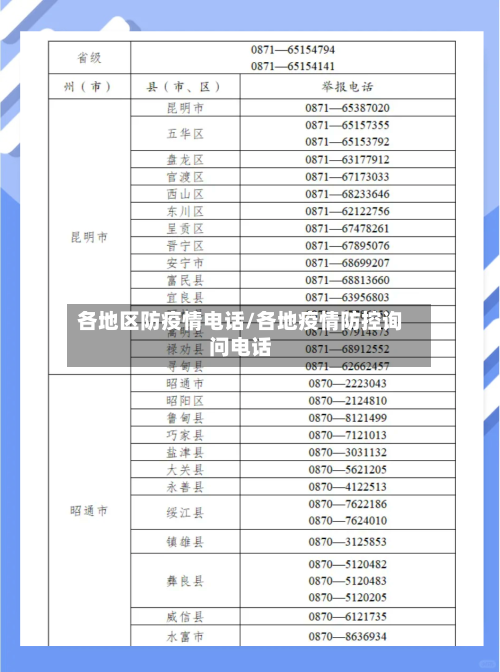 各地区防疫情电话/各地疫情防控询问电话-第2张图片