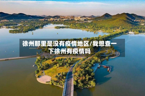 徐州那里是没有疫情地区/我想查一下徐州有疫情吗-第3张图片