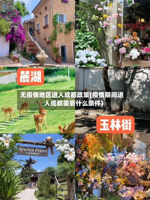 无疫情地区进入成都政策(疫情期间进入成都需要什么条件)-第2张图片