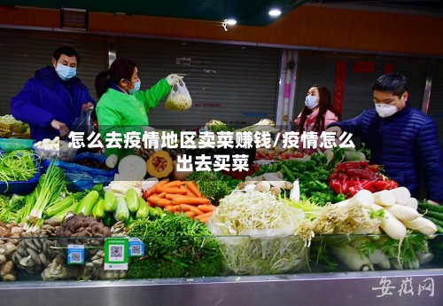 怎么去疫情地区卖菜赚钱/疫情怎么出去买菜-第2张图片