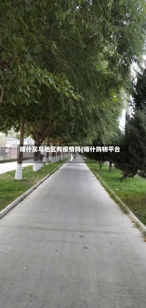 喀什买马地区有疫情吗(喀什购物平台)-第1张图片