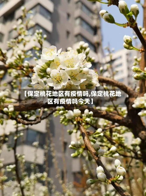 【保定桃花地区有疫情吗,保定桃花地区有疫情吗今天】-第2张图片