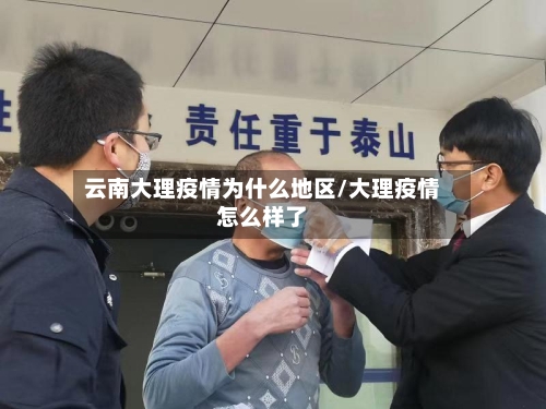 云南大理疫情为什么地区/大理疫情怎么样了-第2张图片